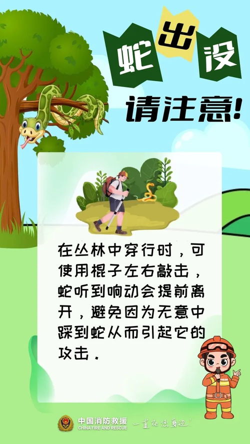 (灭鼠先锋的技巧)如何正确使用灭鼠先锋，打造无鼠环境，防鼠安全有妙招