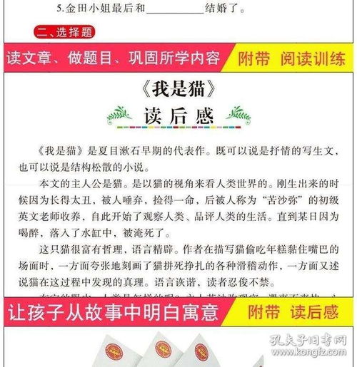 澳门彩先知一肖一码|系统解答解释落实_跨界版.9.16