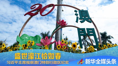 澳门天天开彩大全免费图片2018|探寻生活中的小确幸_QHD.3.511