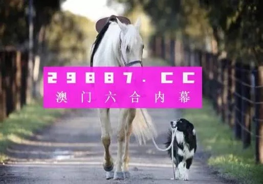 新澳门彩4949历史记录|经典解答解释落实_探索版.3.92