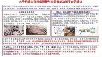 7777788888新版跑狗图论坛|探索城市文化的独特魅力_Adanced.5.555