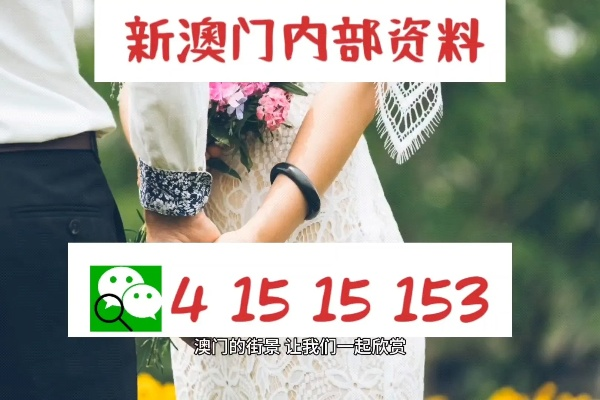 今晚澳门特马开的什么|综合分析解释落实_完整版.1.319