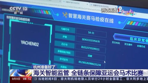 2024澳门六今晚开奖结果|保证资料解读的准确性与实用性_游戏版3.224