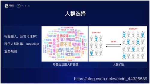 2024年跑狗图自动更新|系统解答解释落实_专用款.3.191